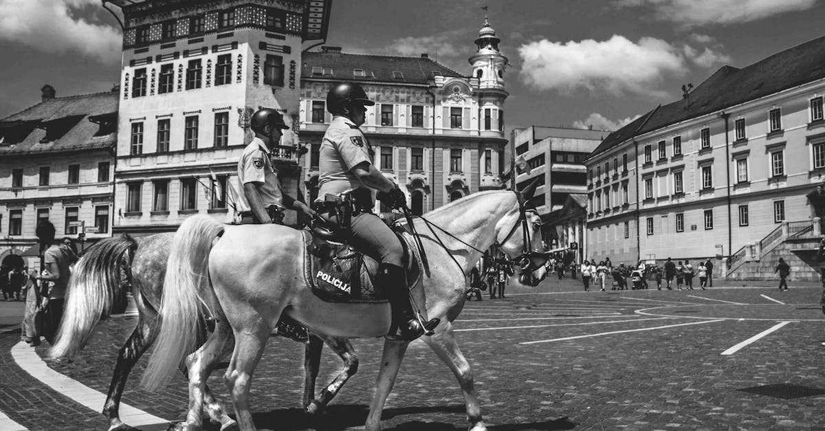 Tribeca, <a href=new-york class='text-primary'>New York</a>